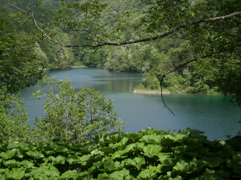 House Veljko Βίλα Vrhovine Εξωτερικό φωτογραφία